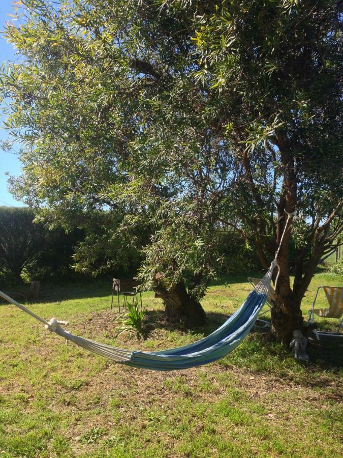 Quintinha Mojud Bed & Breakfast Rogil Dış mekan fotoğraf